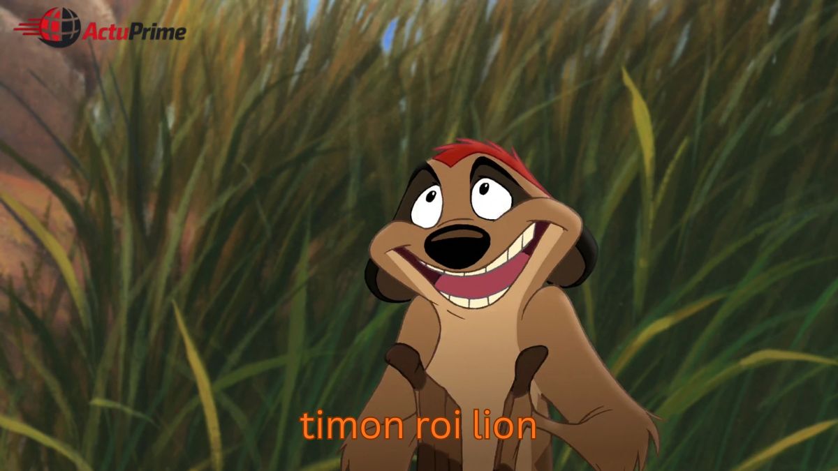 timon roi lion