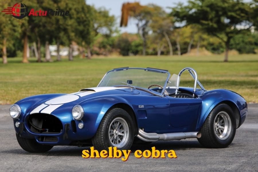 shelby cobra