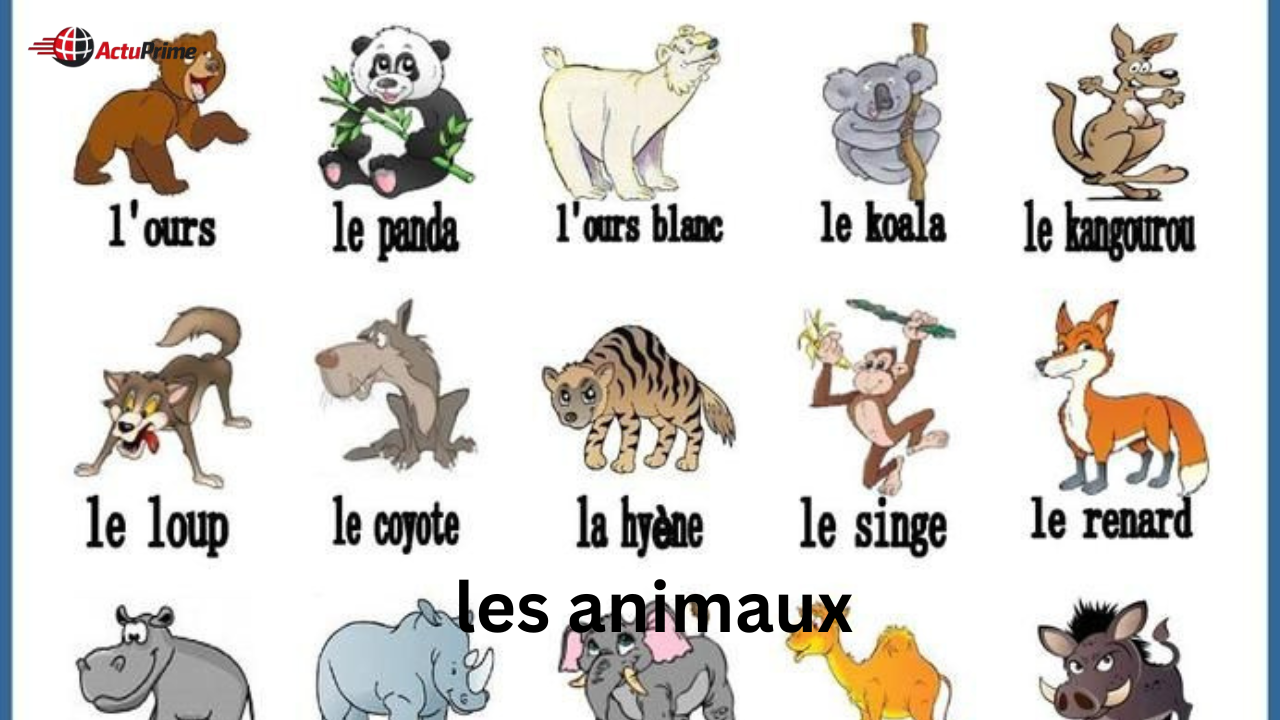 les animaux