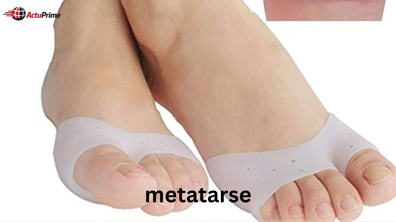 metatarse